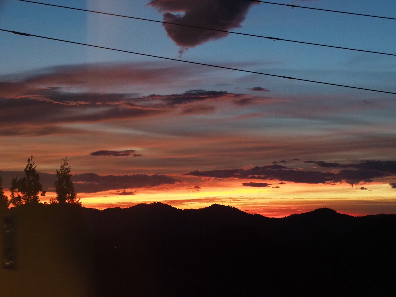 PA060231.jpg