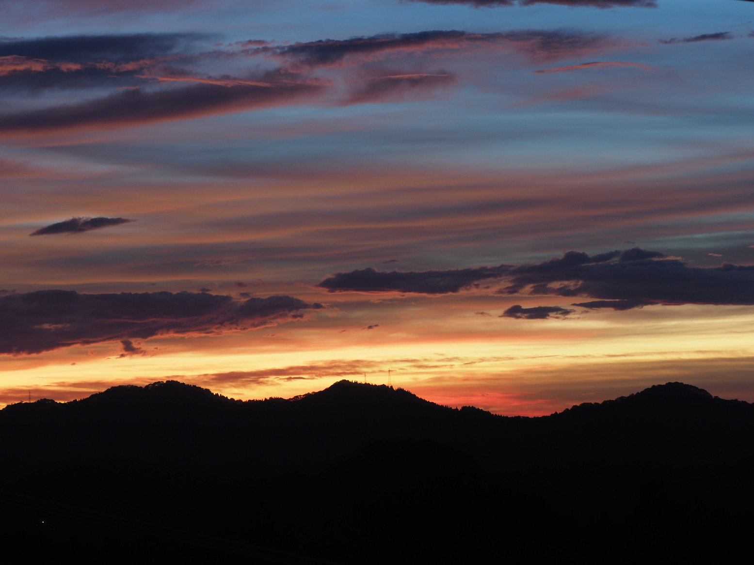 PA060236.jpg