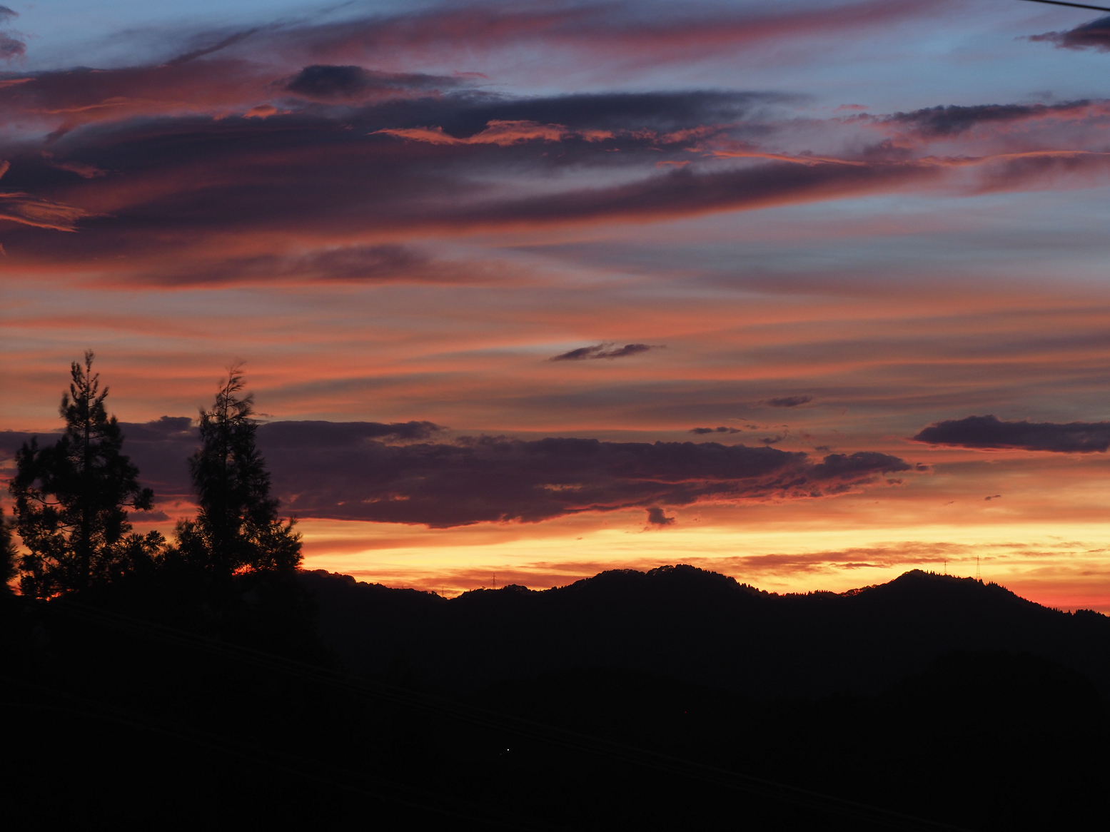 PA060241.jpg