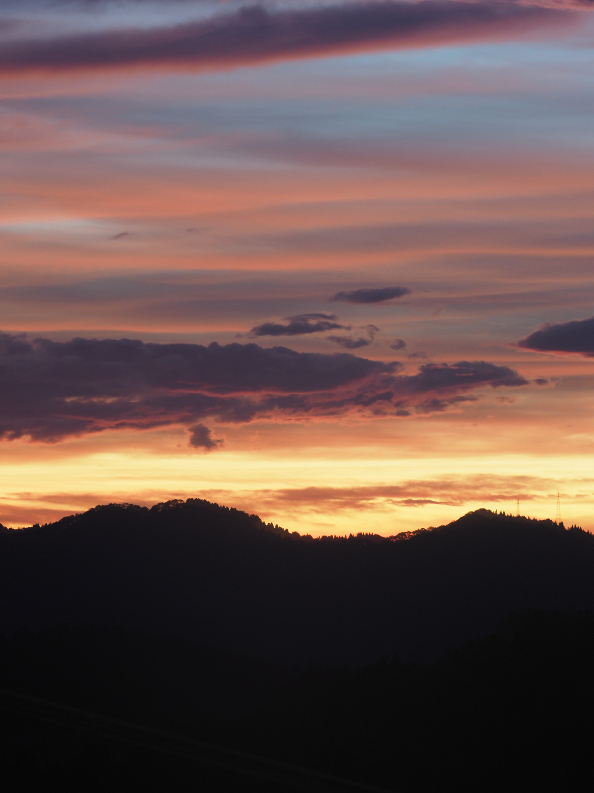 PA060245.jpg