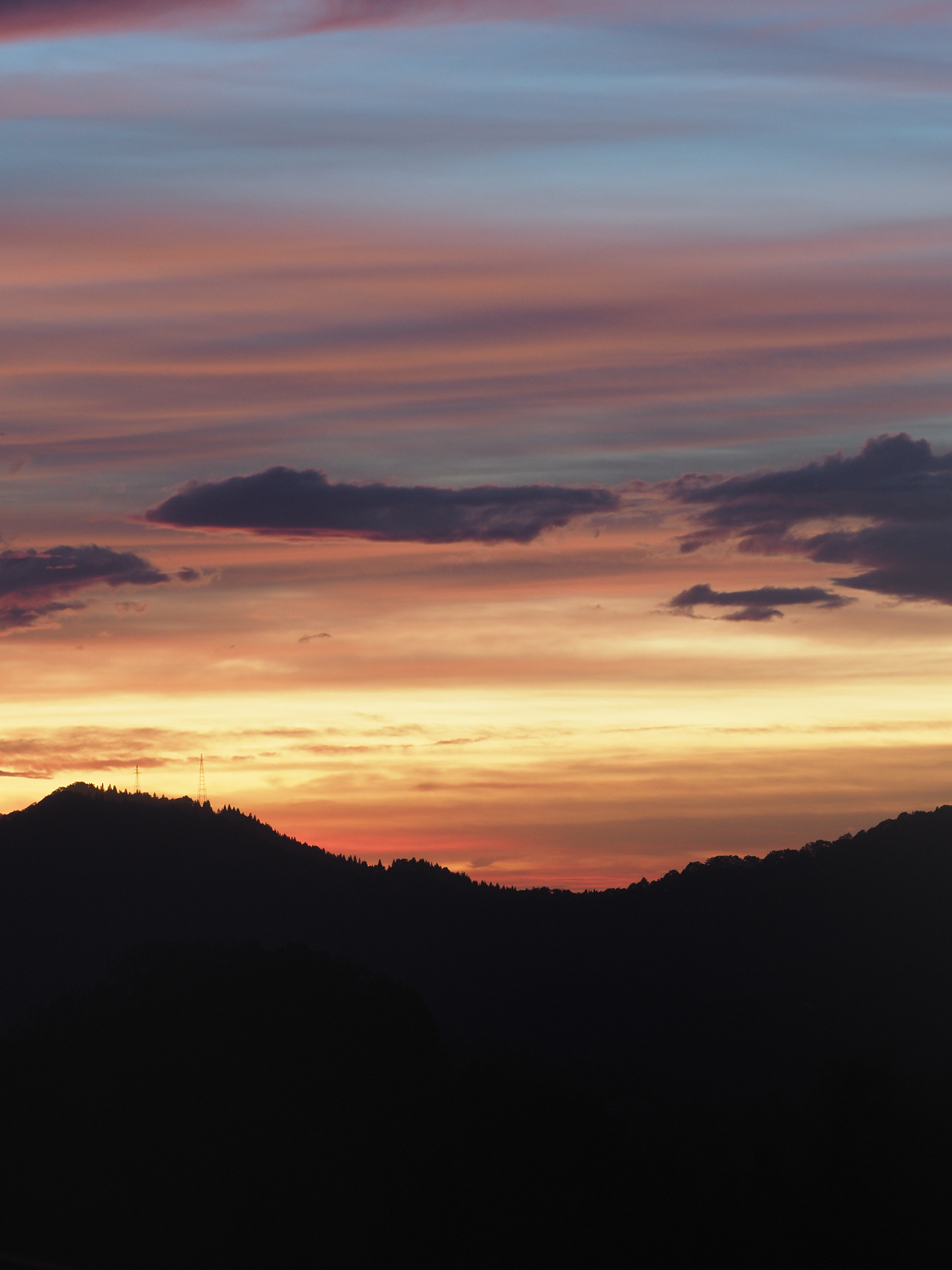 PA060246.jpg