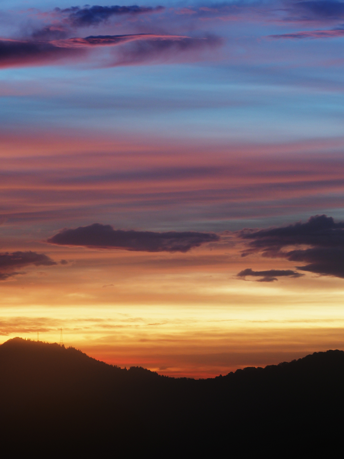 PA060247.jpg