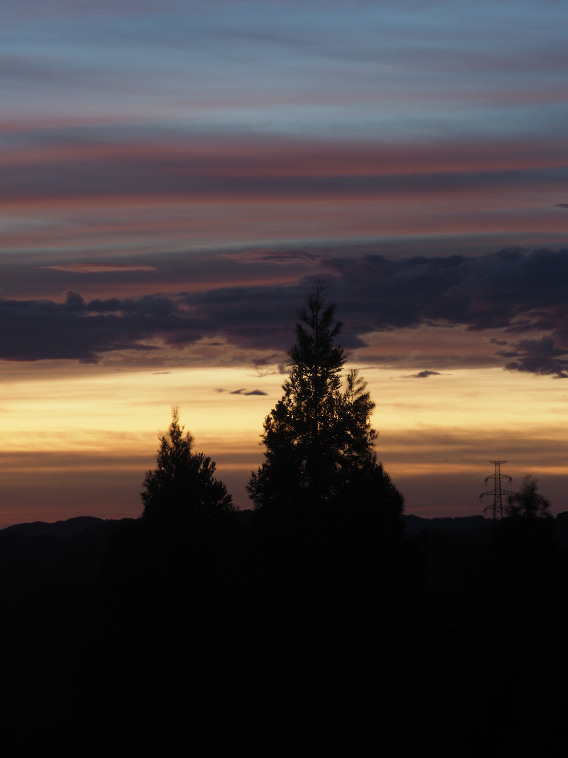 PA060250.jpg