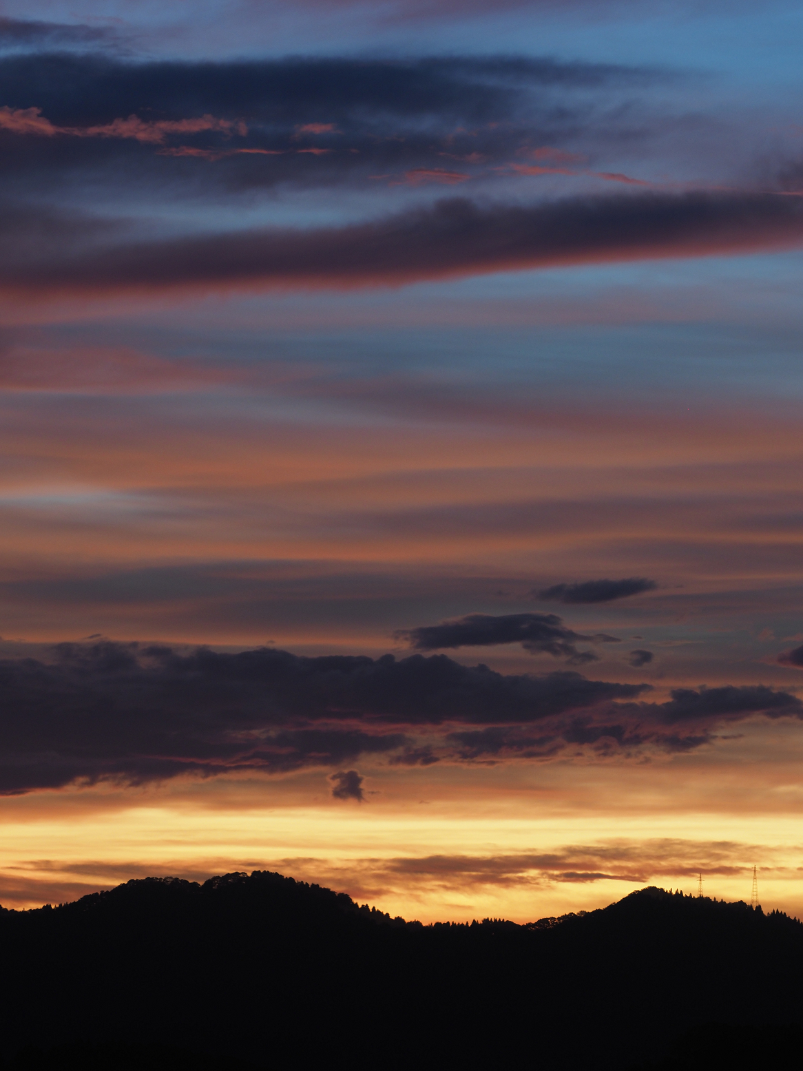 PA060251.jpg