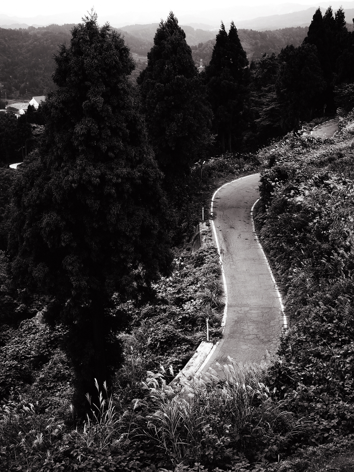PA070323.jpg