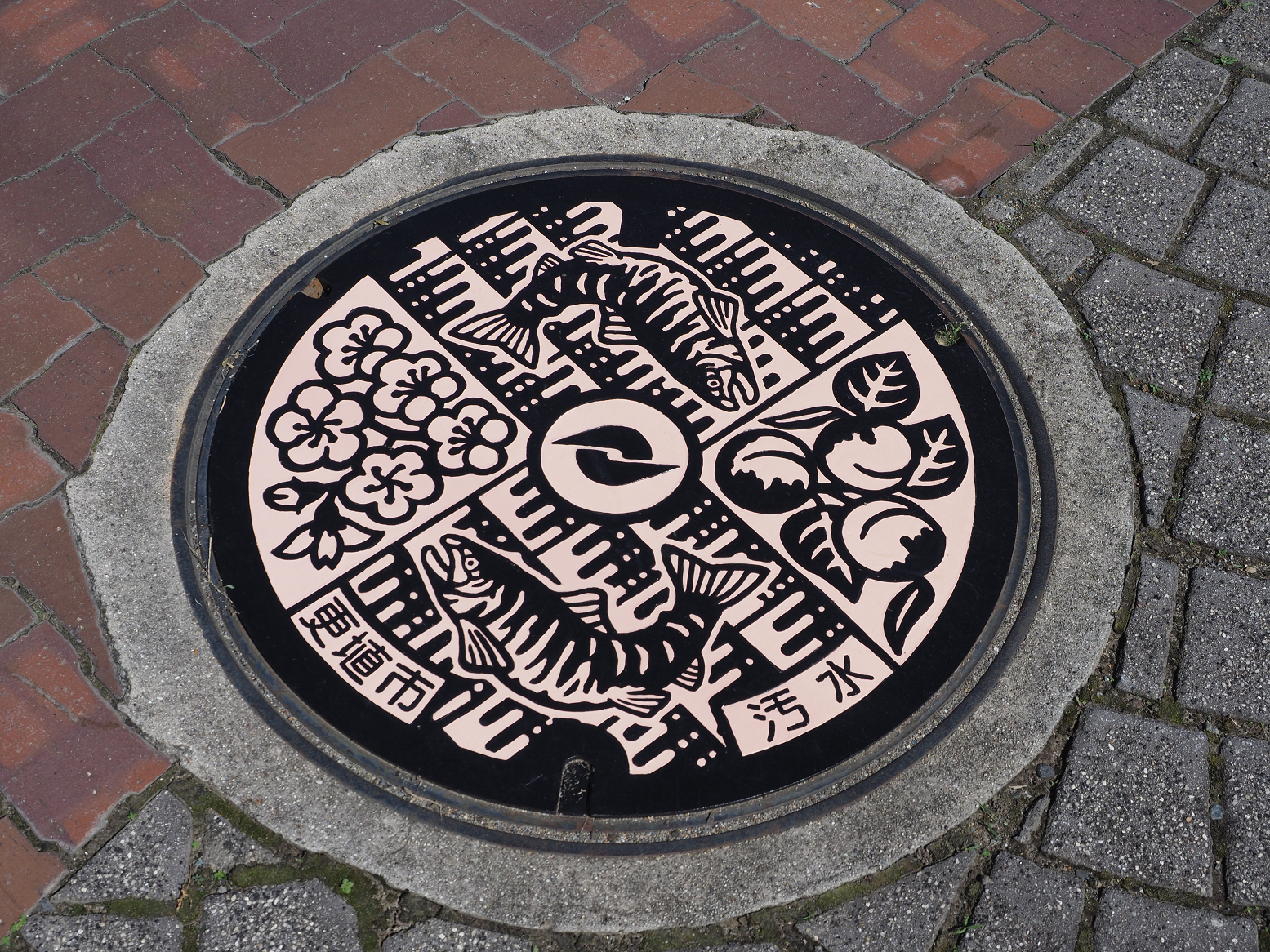 PA070335.jpg