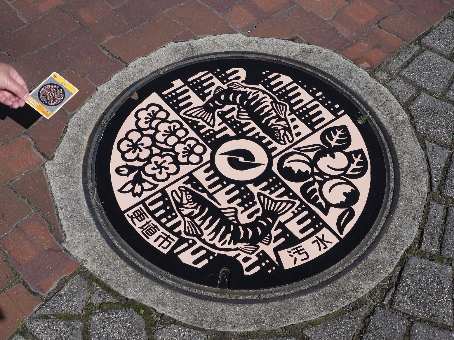 PA070336.jpg