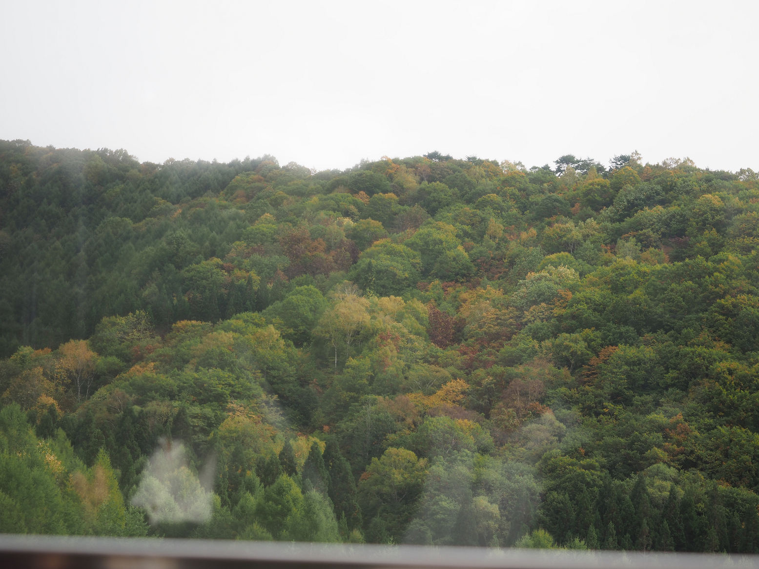 PA070365.jpg