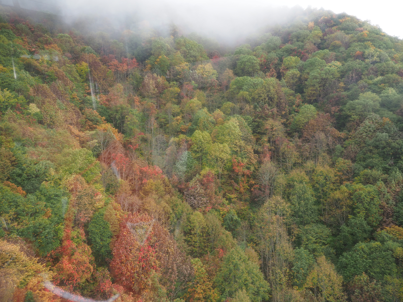 PA070371.jpg