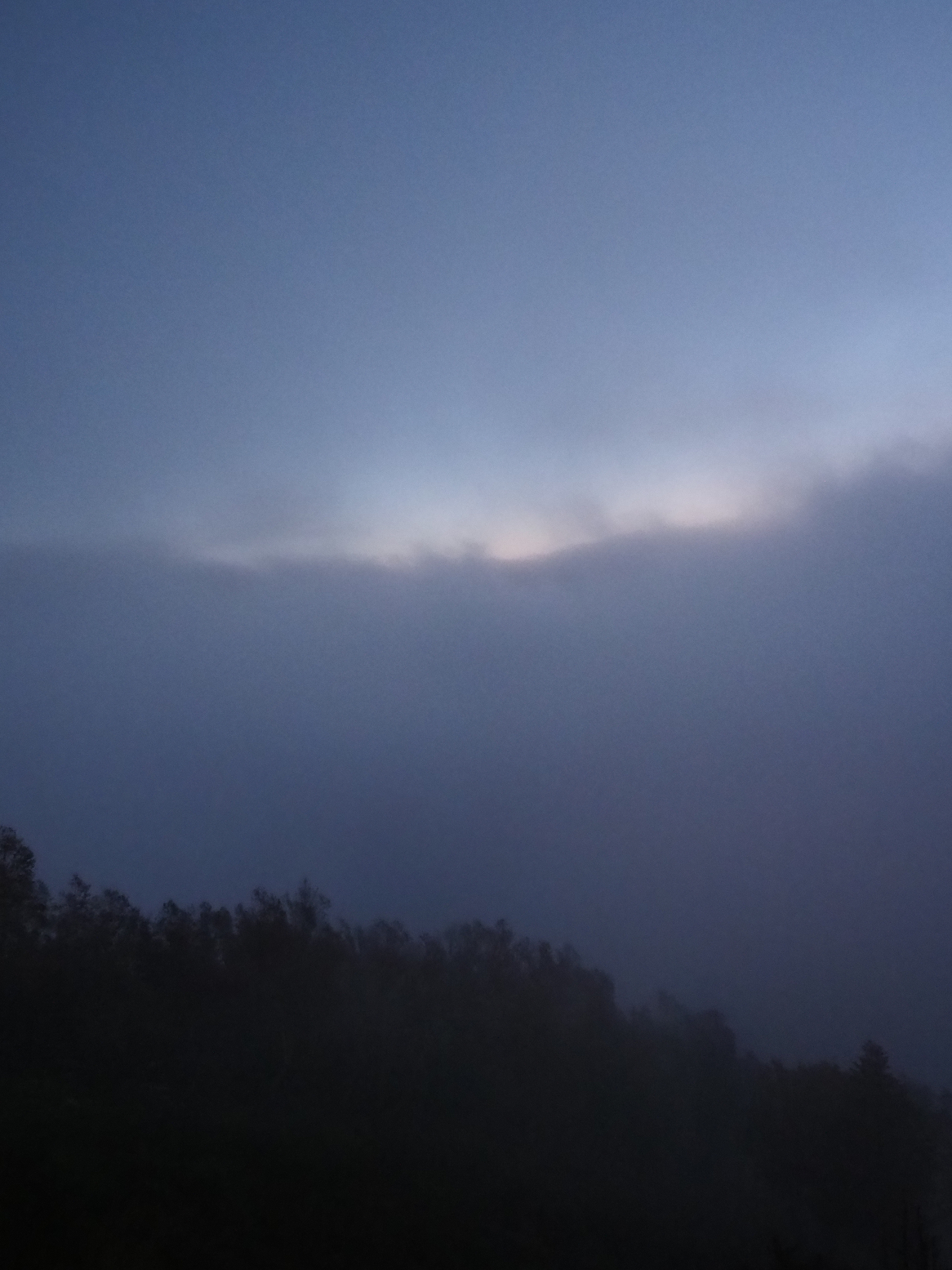PA070427.jpg