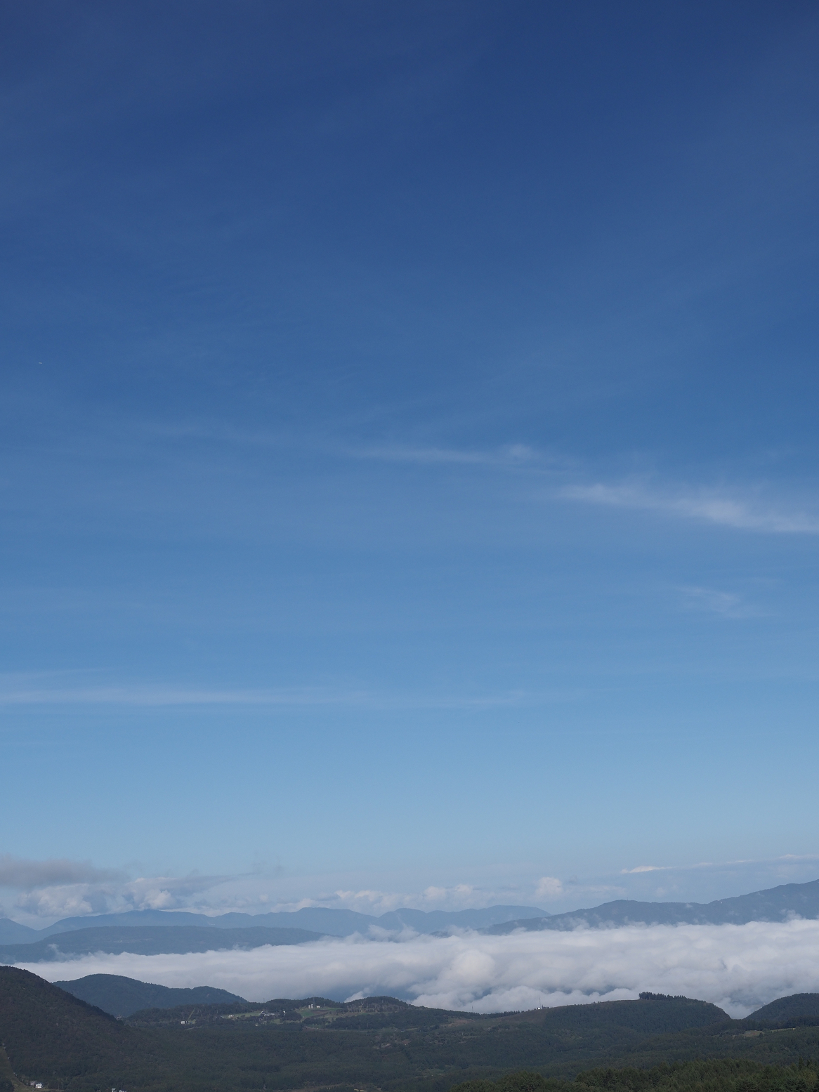 PA130021.jpg