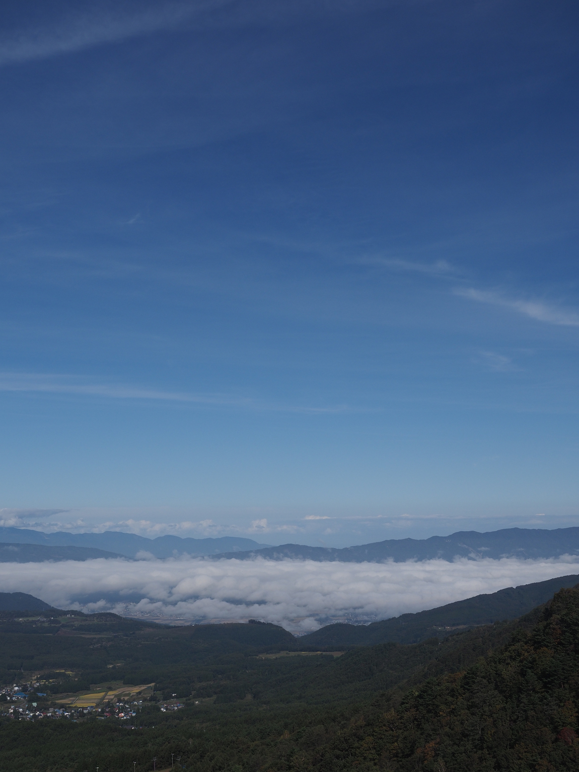 PA130033.jpg