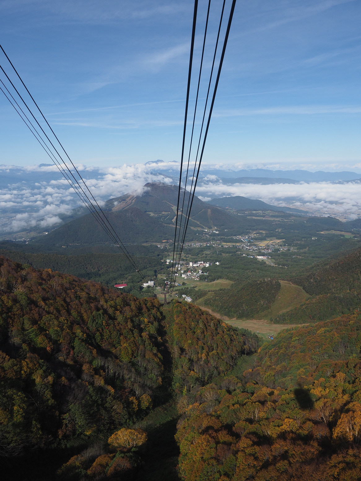 PA130046.jpg