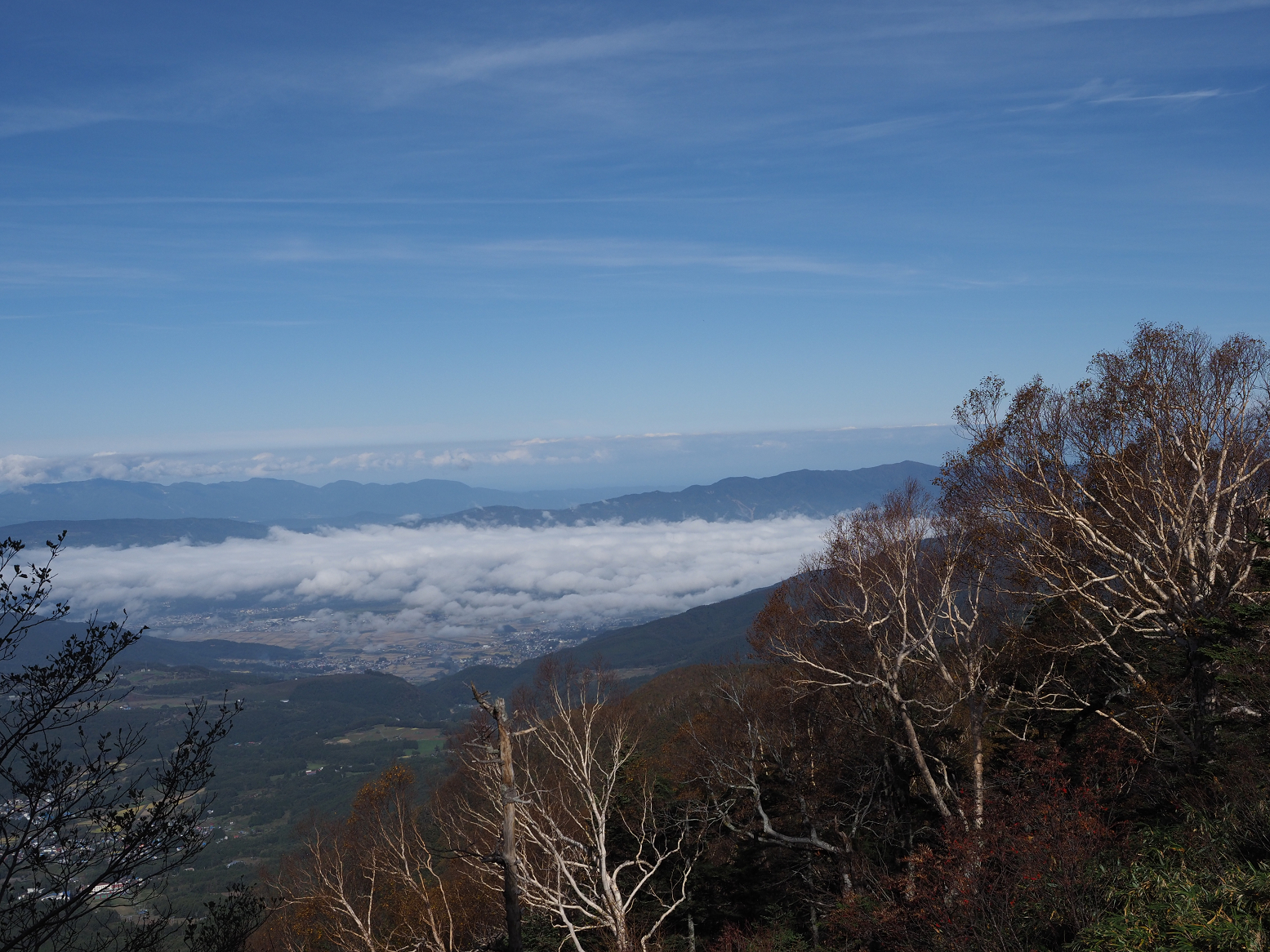 PA130057.jpg