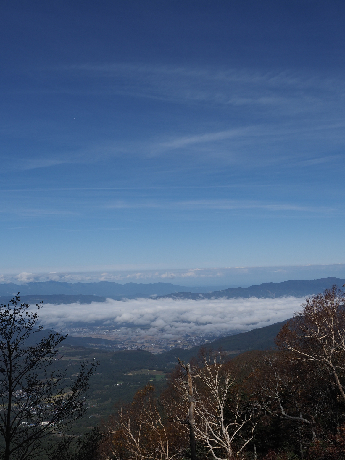 PA130058.jpg