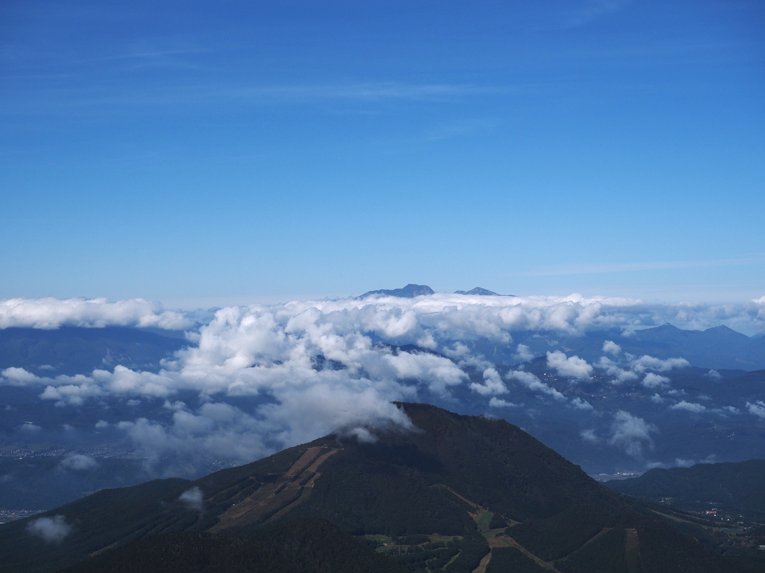 PA130103.jpg
