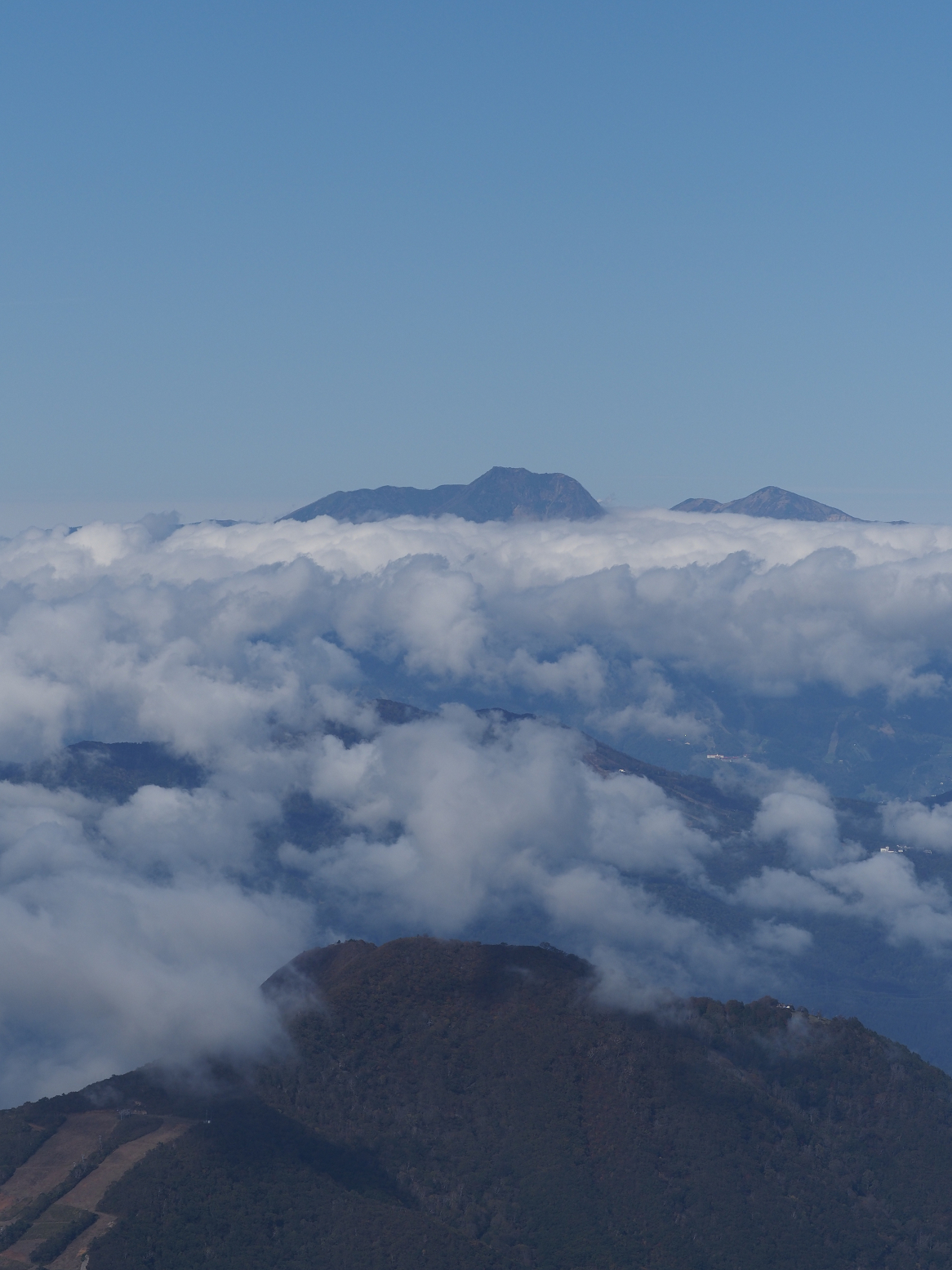 PA130115.jpg