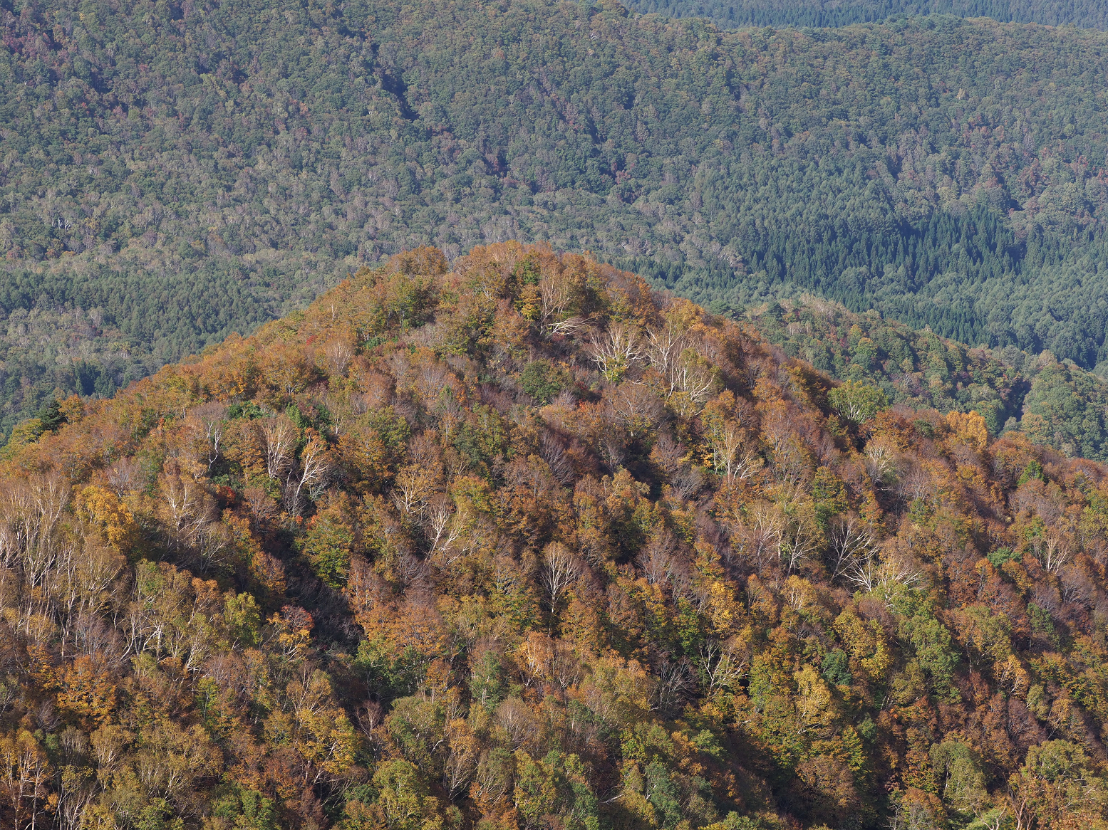 PA130121.jpg