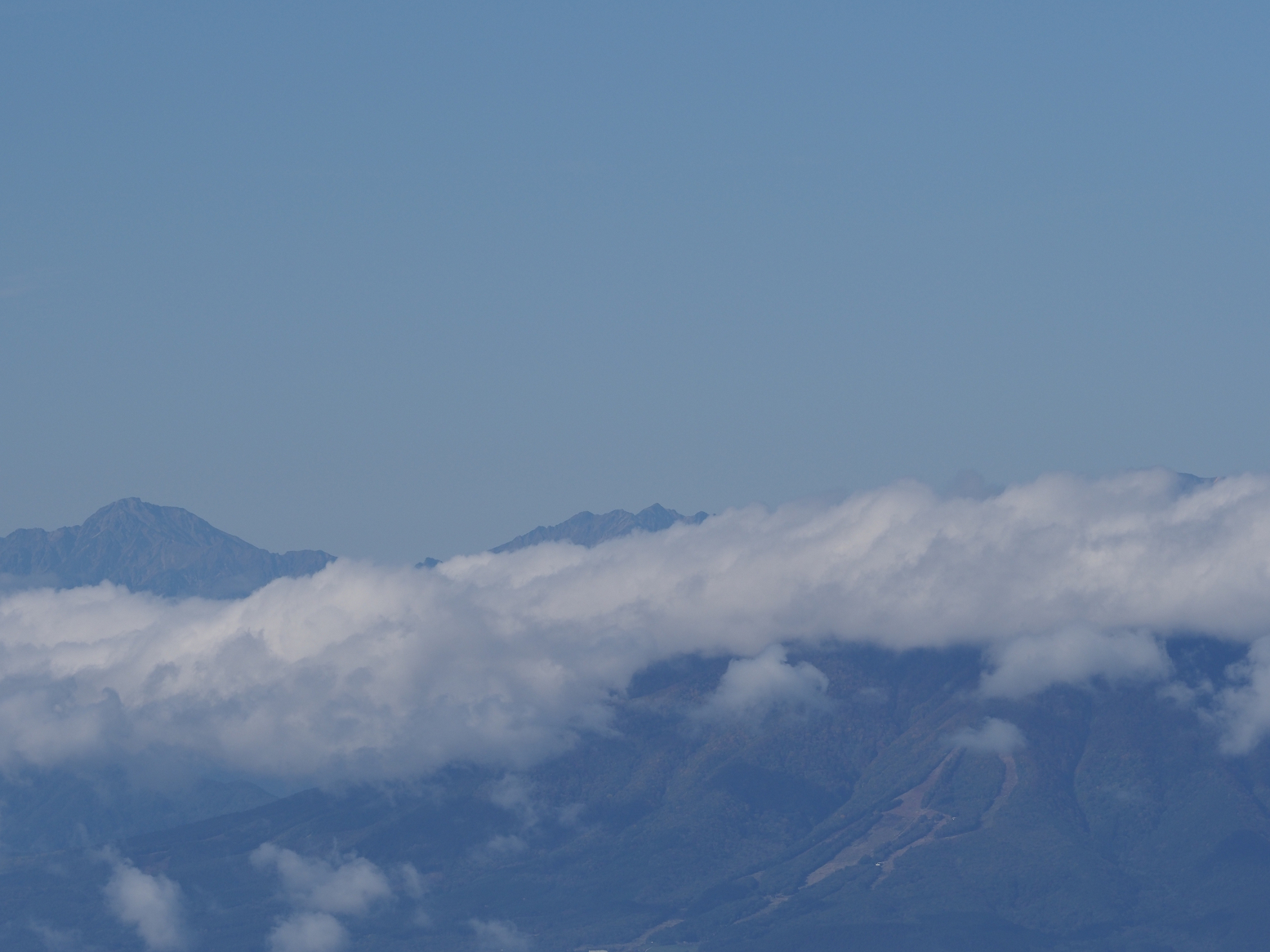 PA130125.jpg
