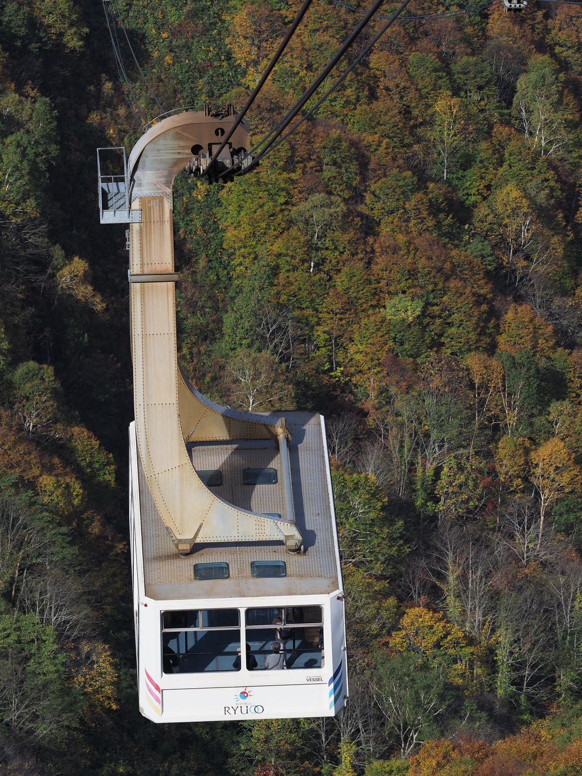 PA130144.jpg