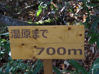 PA130171_thumb.png