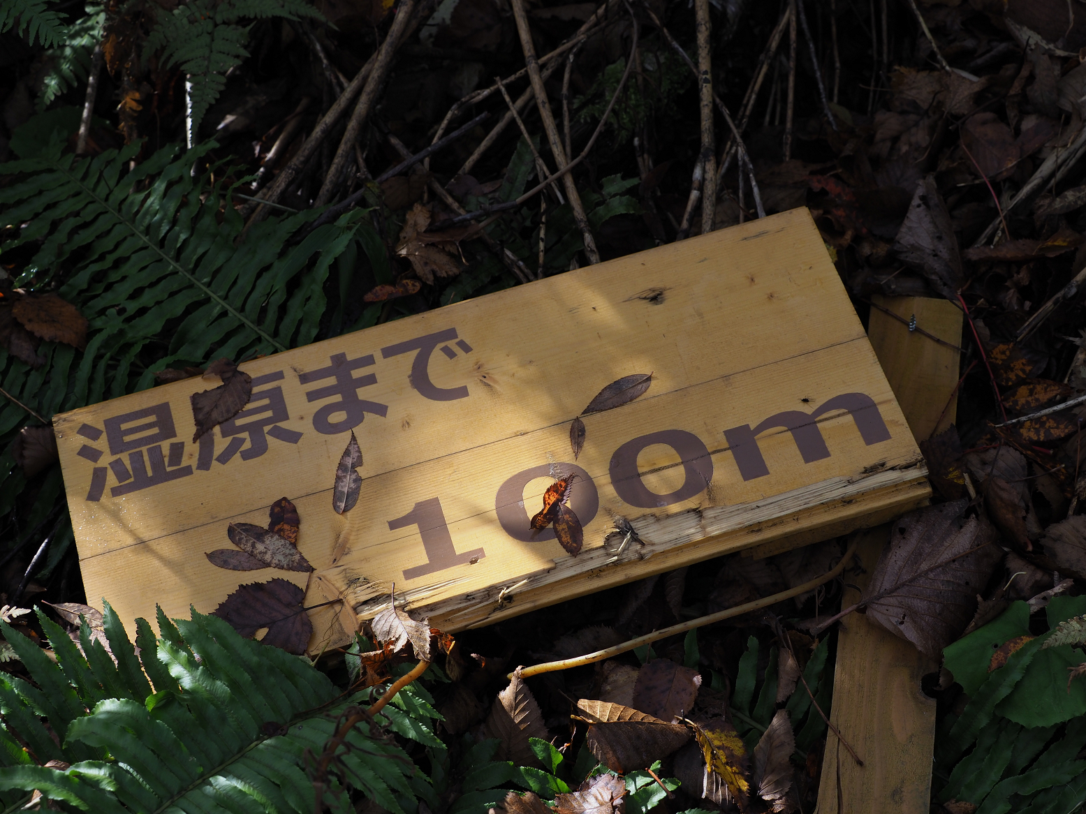 PA130185.jpg
