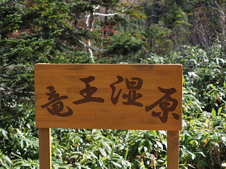 PA130186_thumb.png