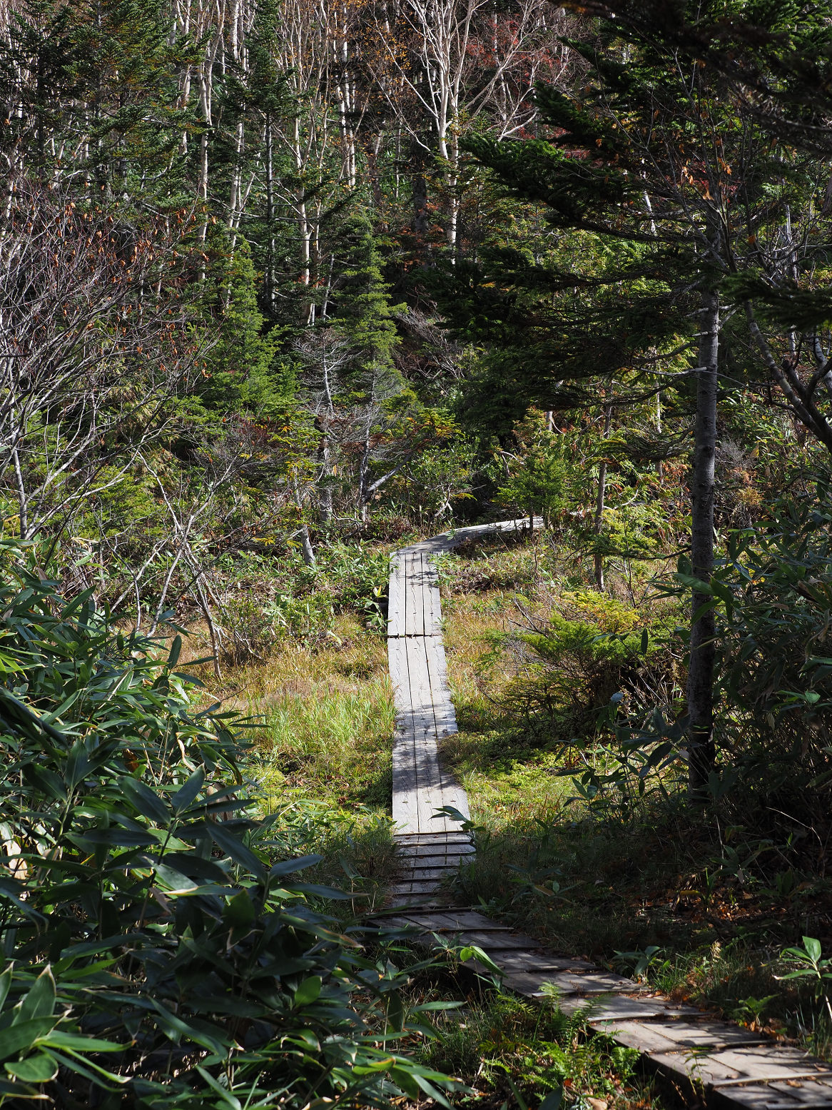 PA130189.jpg