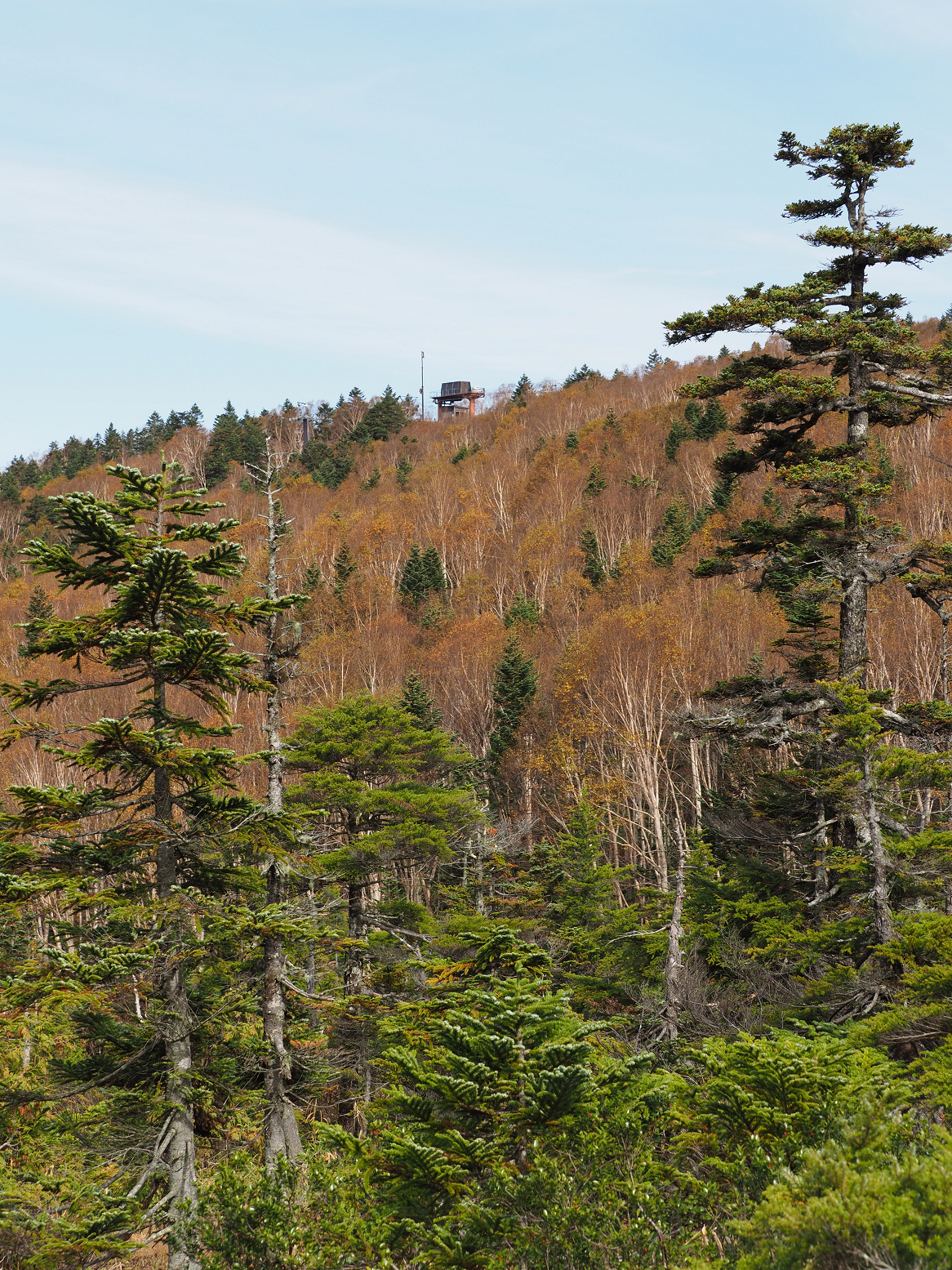 PA130196.jpg