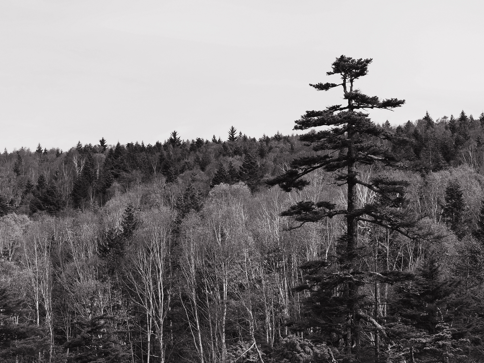 PA130198.jpg