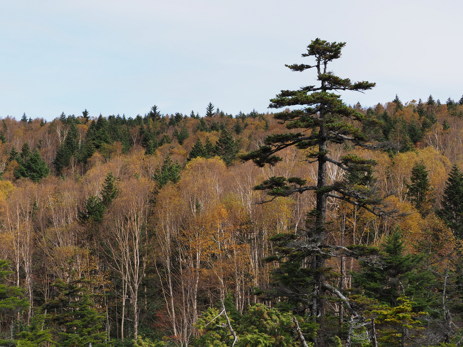 PA130199.jpg