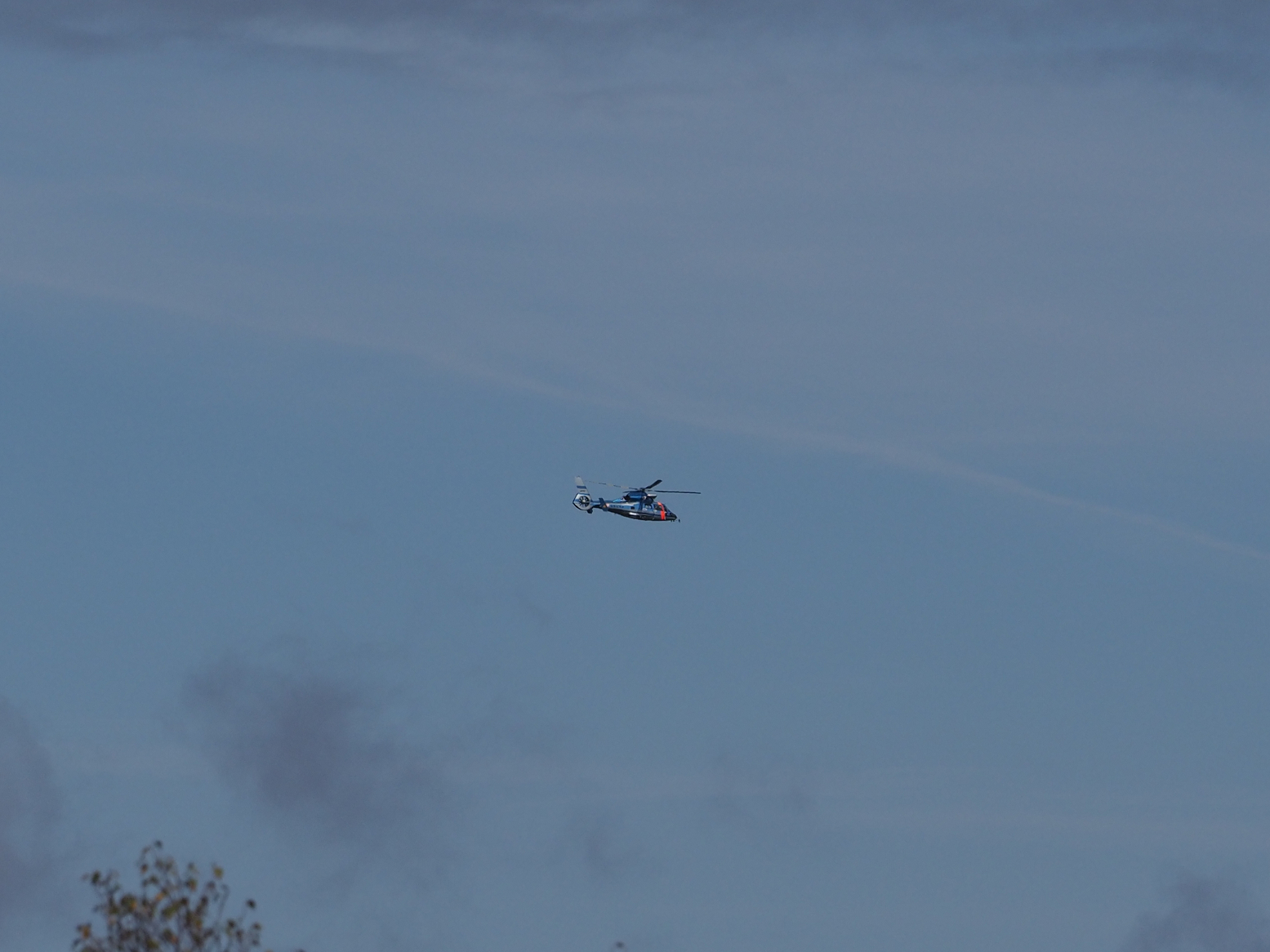PA130213.jpg