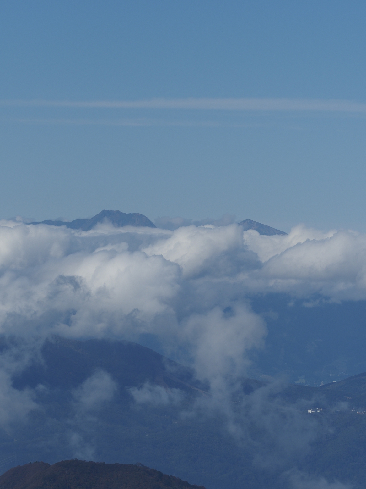 PA130236.jpg