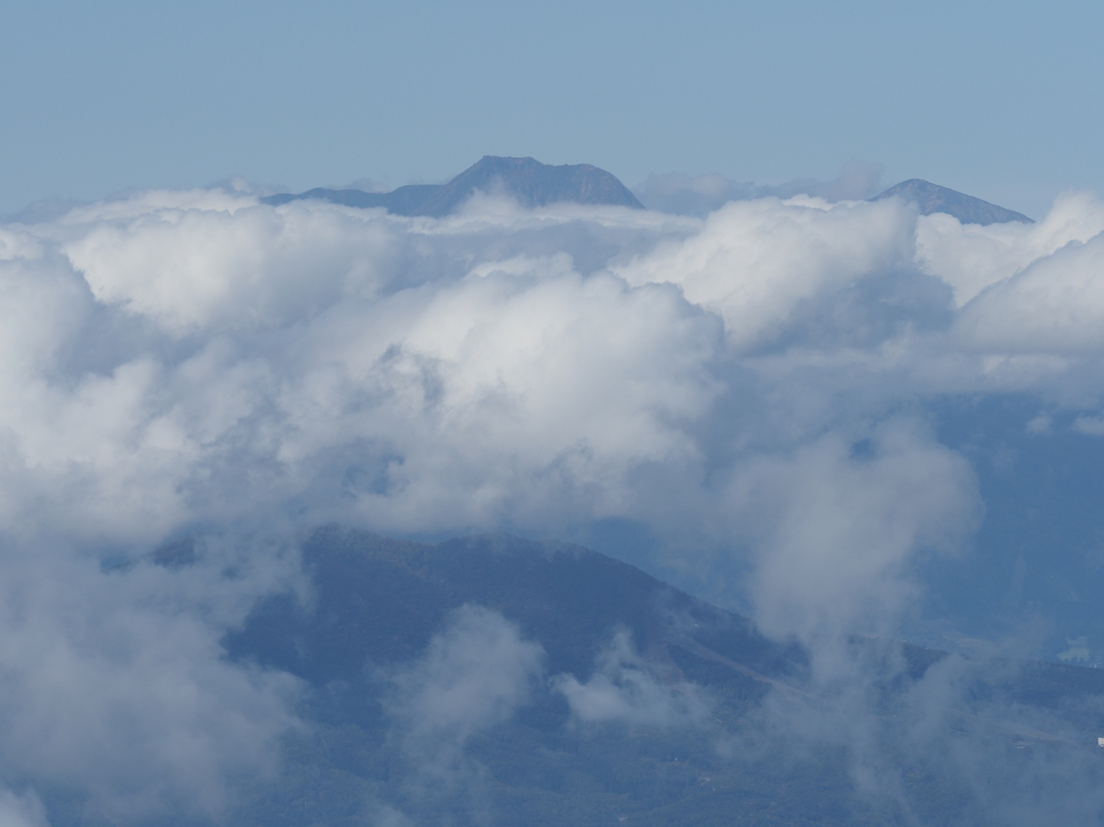 PA130238.jpg