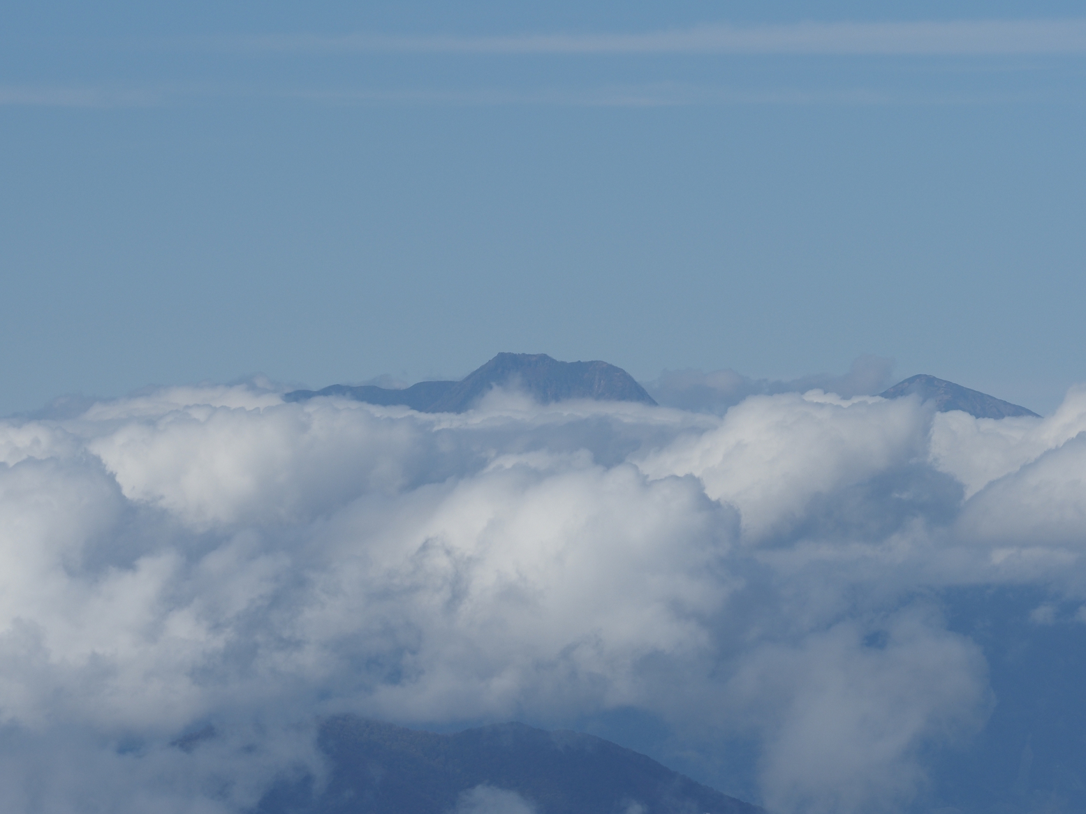 PA130239.jpg