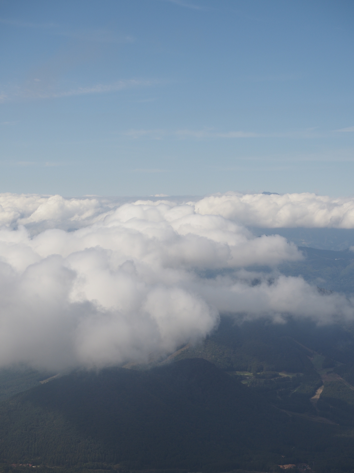 PA130255.jpg