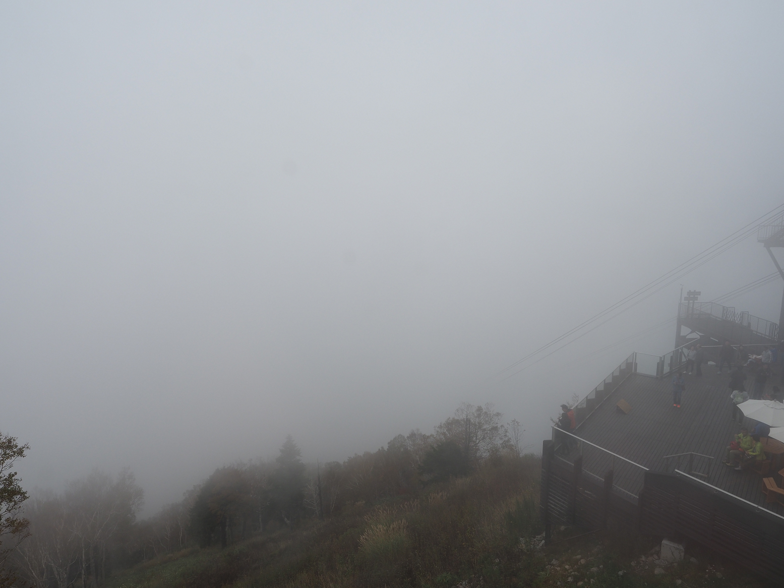 PA130275.jpg