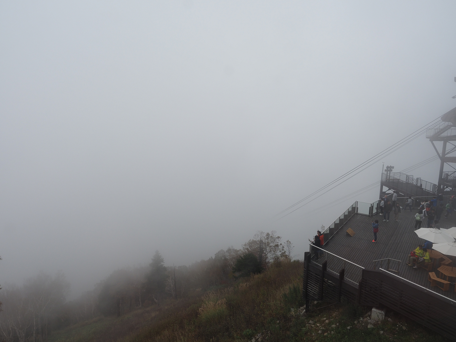 PA130276.jpg