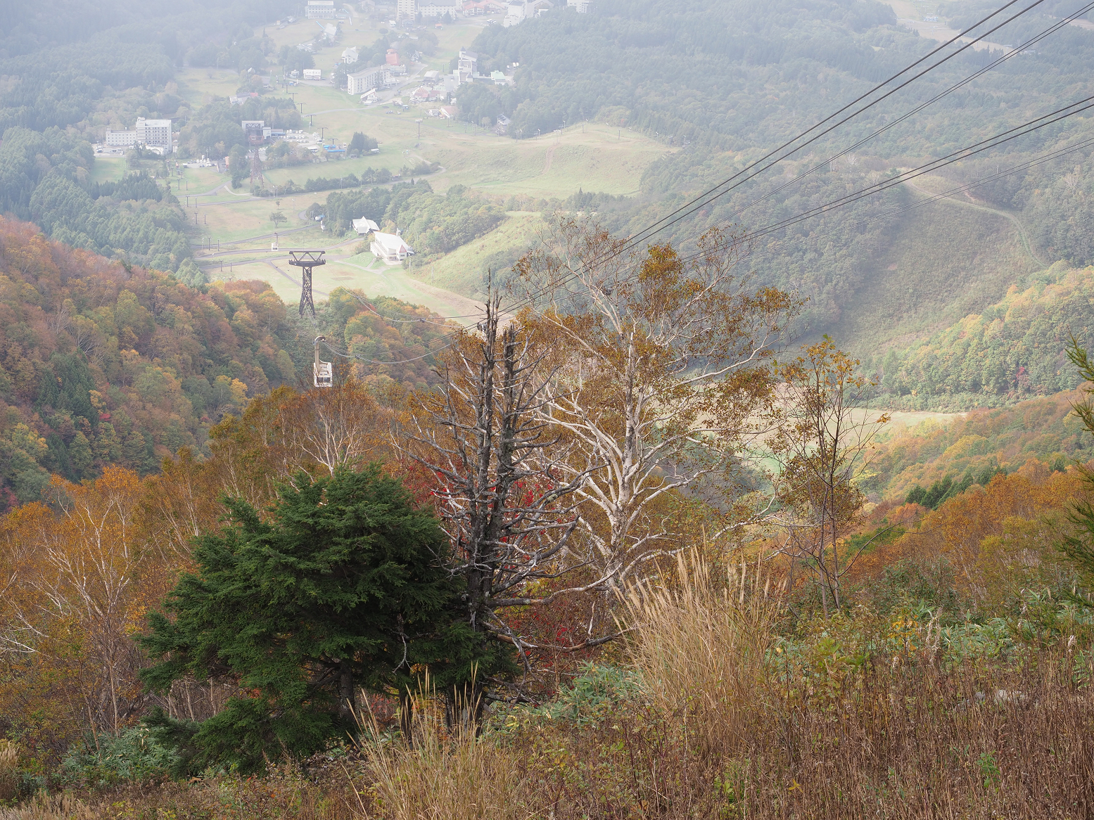 PA130289.jpg