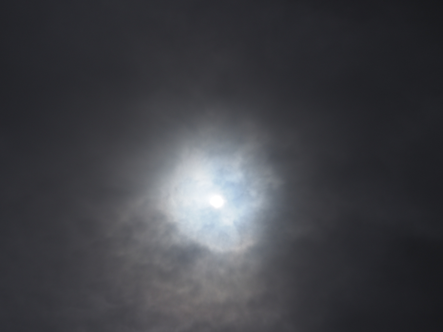 PA130295.jpg