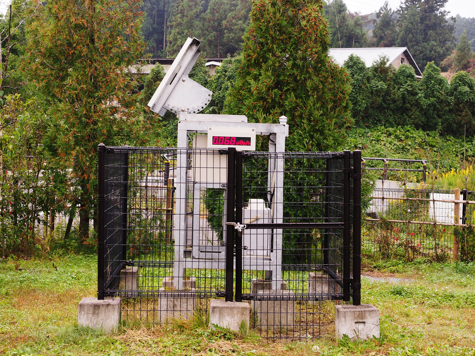 PA190003.jpg