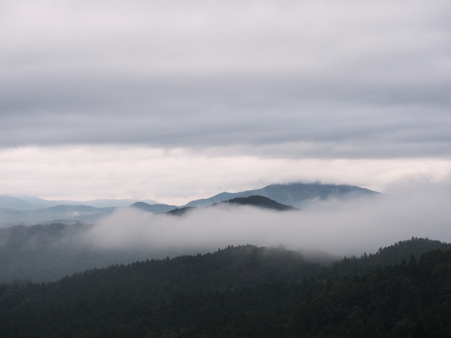 PA190007.jpg