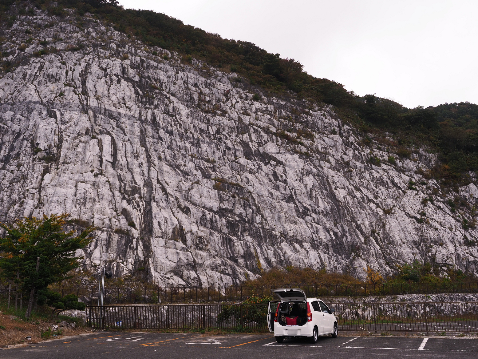 PA190011.jpg