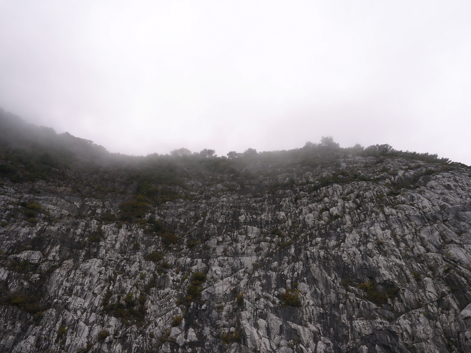 PA190014.jpg