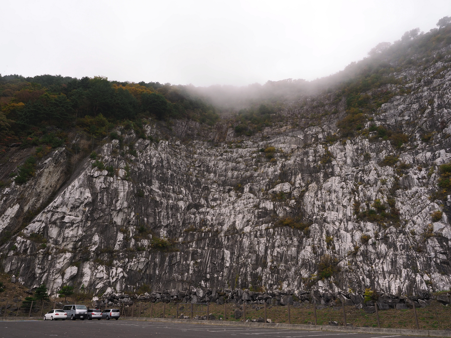 PA190015.jpg