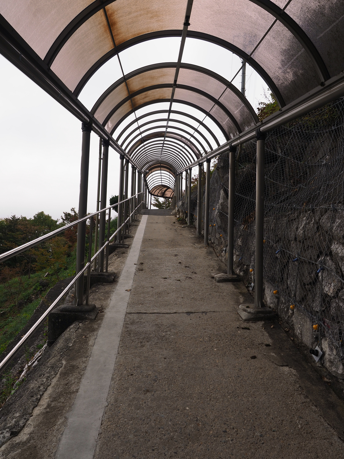 PA190029.jpg