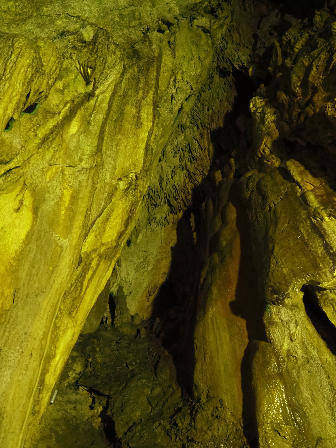 PA190034.jpg