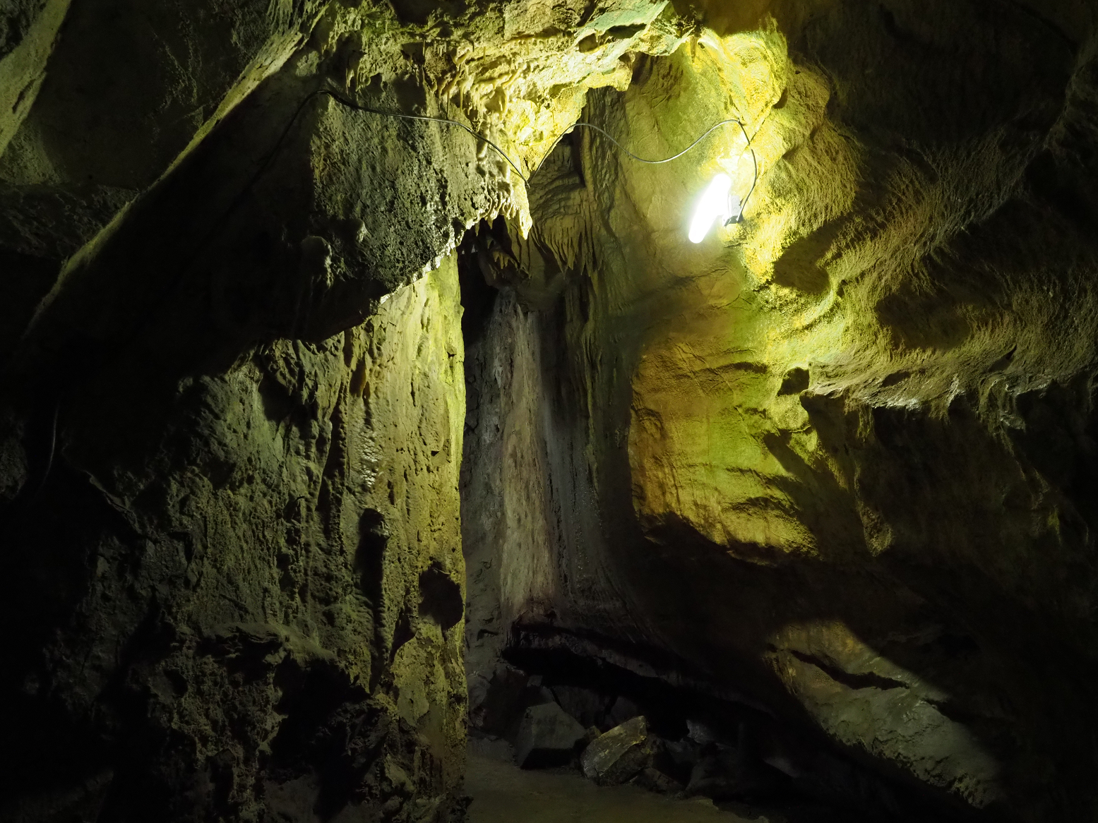 PA190054.jpg