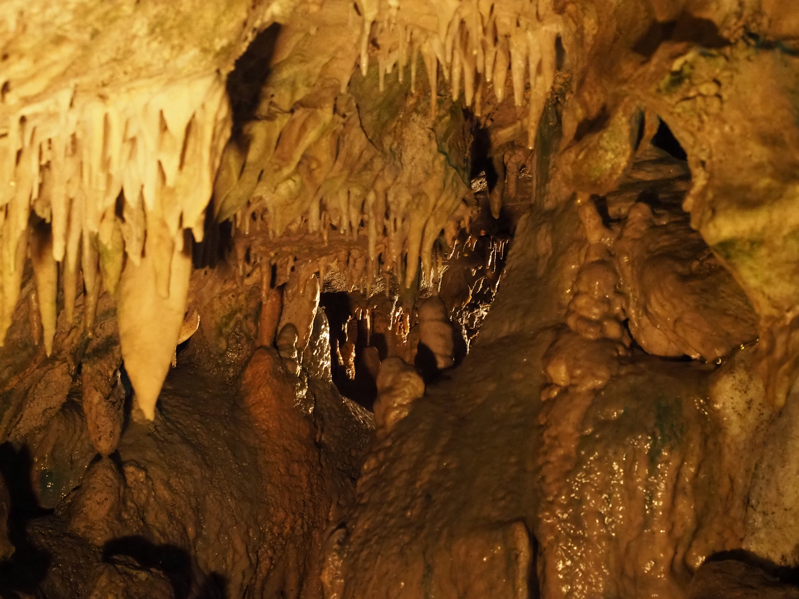 PA190067.jpg