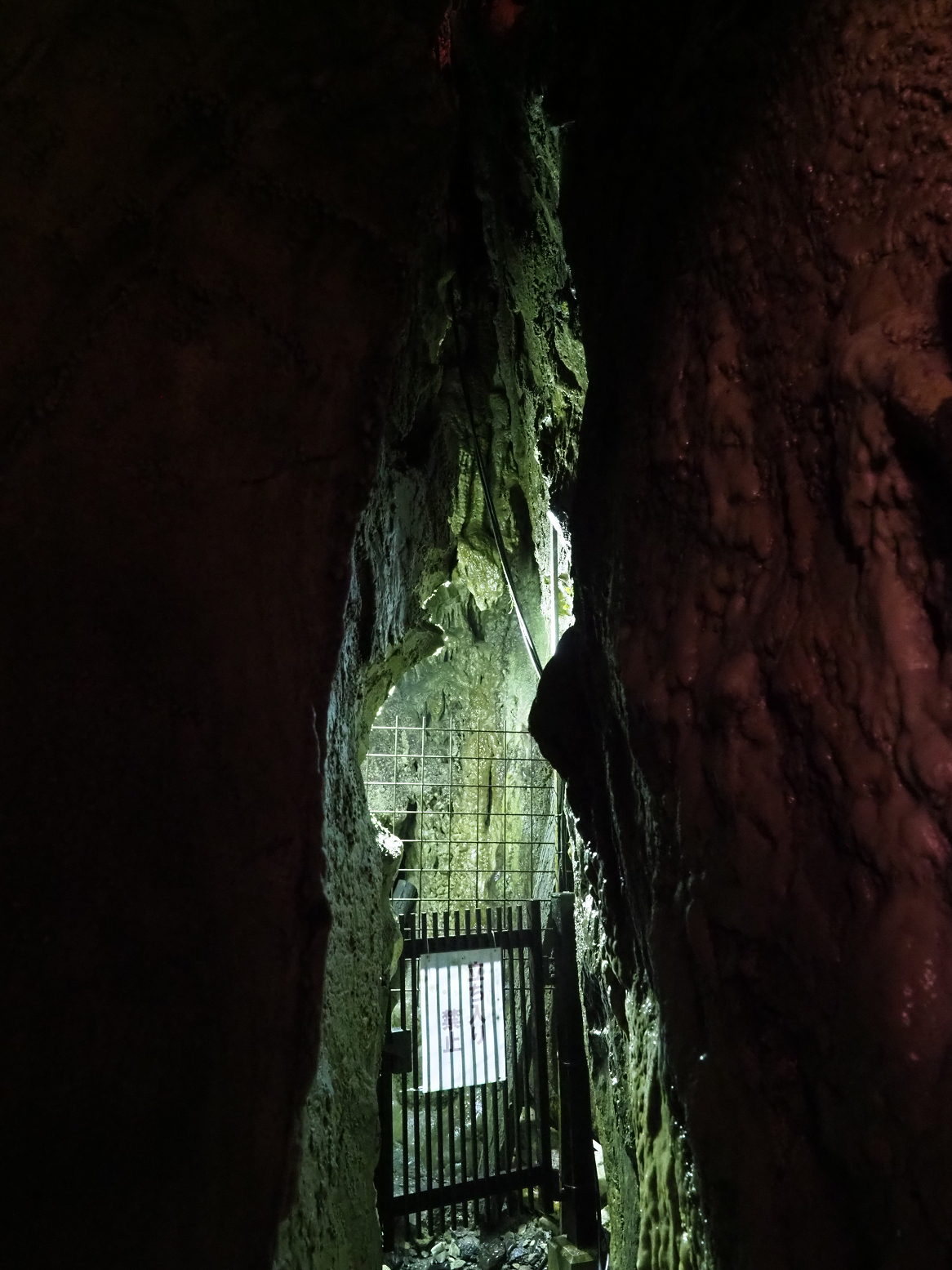 PA190078.jpg